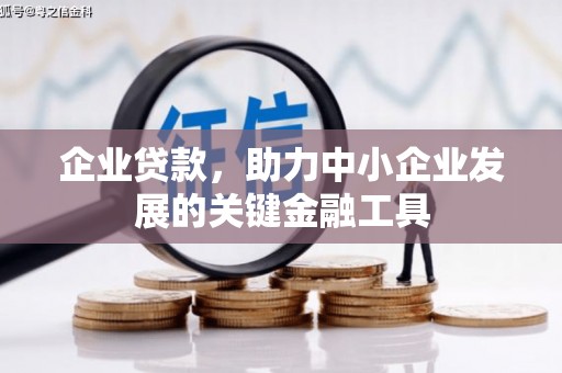 湖里企业贷款，助力中小企业发展的关键金融工具