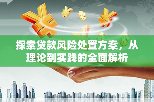 前锋探索贷款风险处置方案，从理论到实践的全面解析