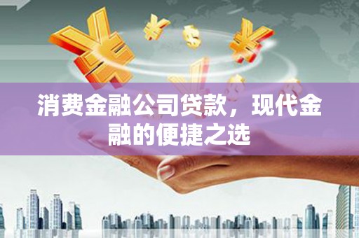 拉萨消费金融公司贷款，现代金融的便捷之选