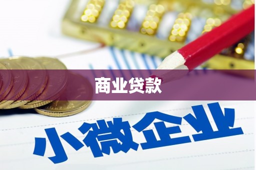 竹崎商业贷款