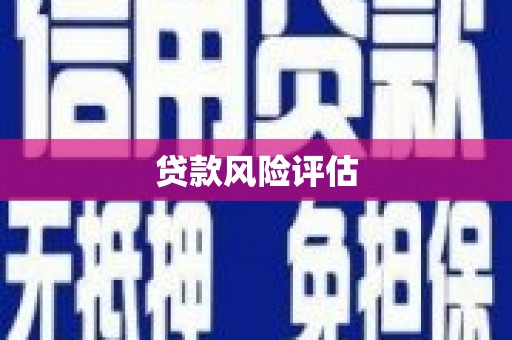 朔城贷款风险评估