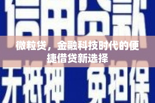 国姓微粒贷，金融科技时代的便捷借贷新选择