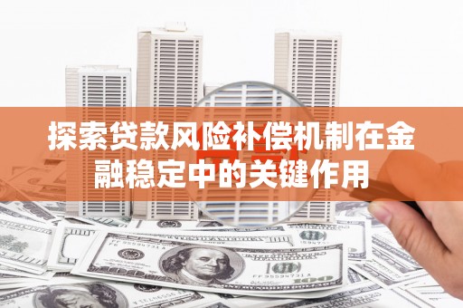 广阳探索贷款风险补偿机制在金融稳定中的关键作用