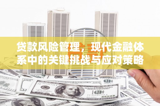 正宁贷款风险管理，现代金融体系中的关键挑战与应对策略