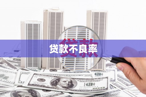 丰润贷款不良率