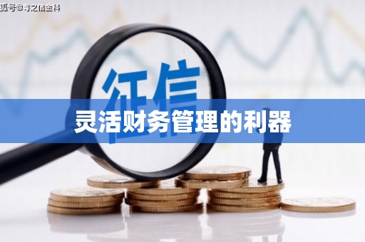 宝山灵活财务管理的利器