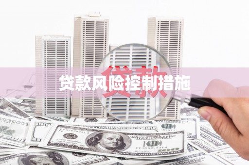 葵青贷款风险控制措施