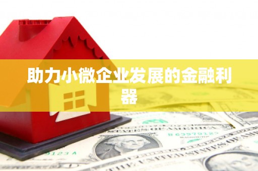 昌图助力小微企业发展的金融利器