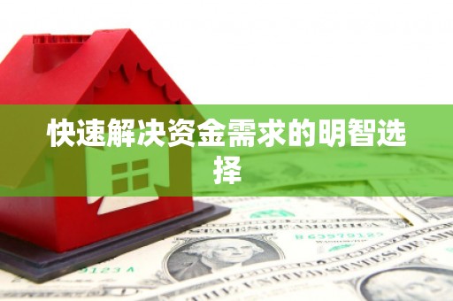 连云快速解决资金需求的明智选择
