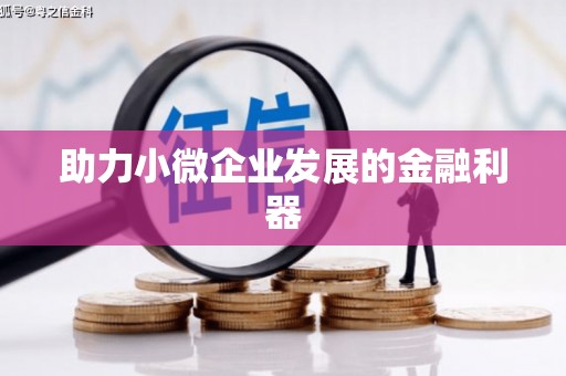 洛扎助力小微企业发展的金融利器