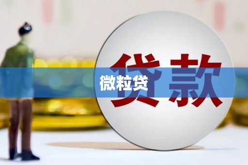 金寨微粒贷