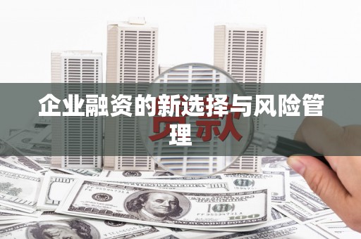 景泰企业融资的新选择与风险管理
