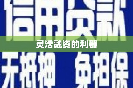 汉源灵活融资的利器