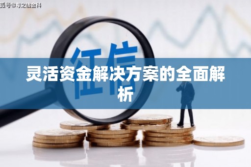 西港灵活资金解决方案的全面解析