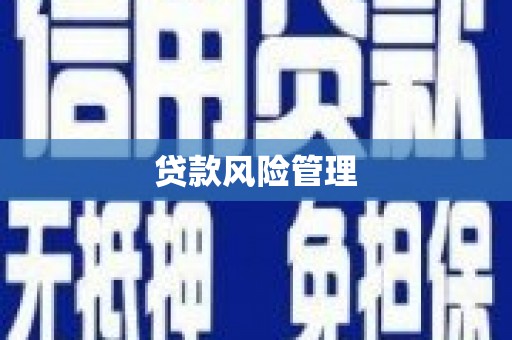 桑日贷款风险管理