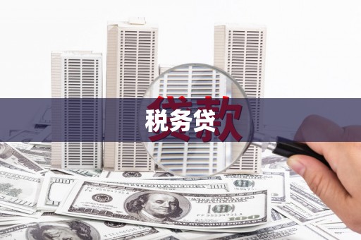 孟津税务贷